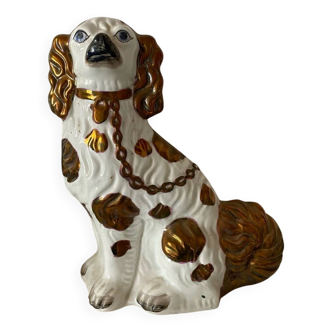 Staffordshire Bull Terrier, Cavalier King Charles.