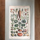 Planche vintage originale légumes