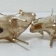 Two stylized zebu with long vintage brass horns