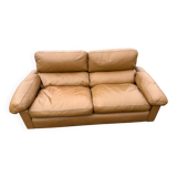 Sofa Petronio 603 de Tito Agnoli pour Poltrona Frau