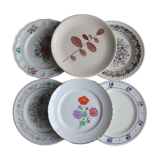 Set of 6 mismatched flat plates with vintage flowers