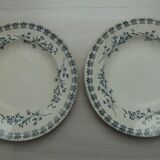 Set of 2 hollow plates campanula pattern