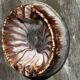Empty Ashtray Pocket in Ceramic Marble Effect D 14 cm