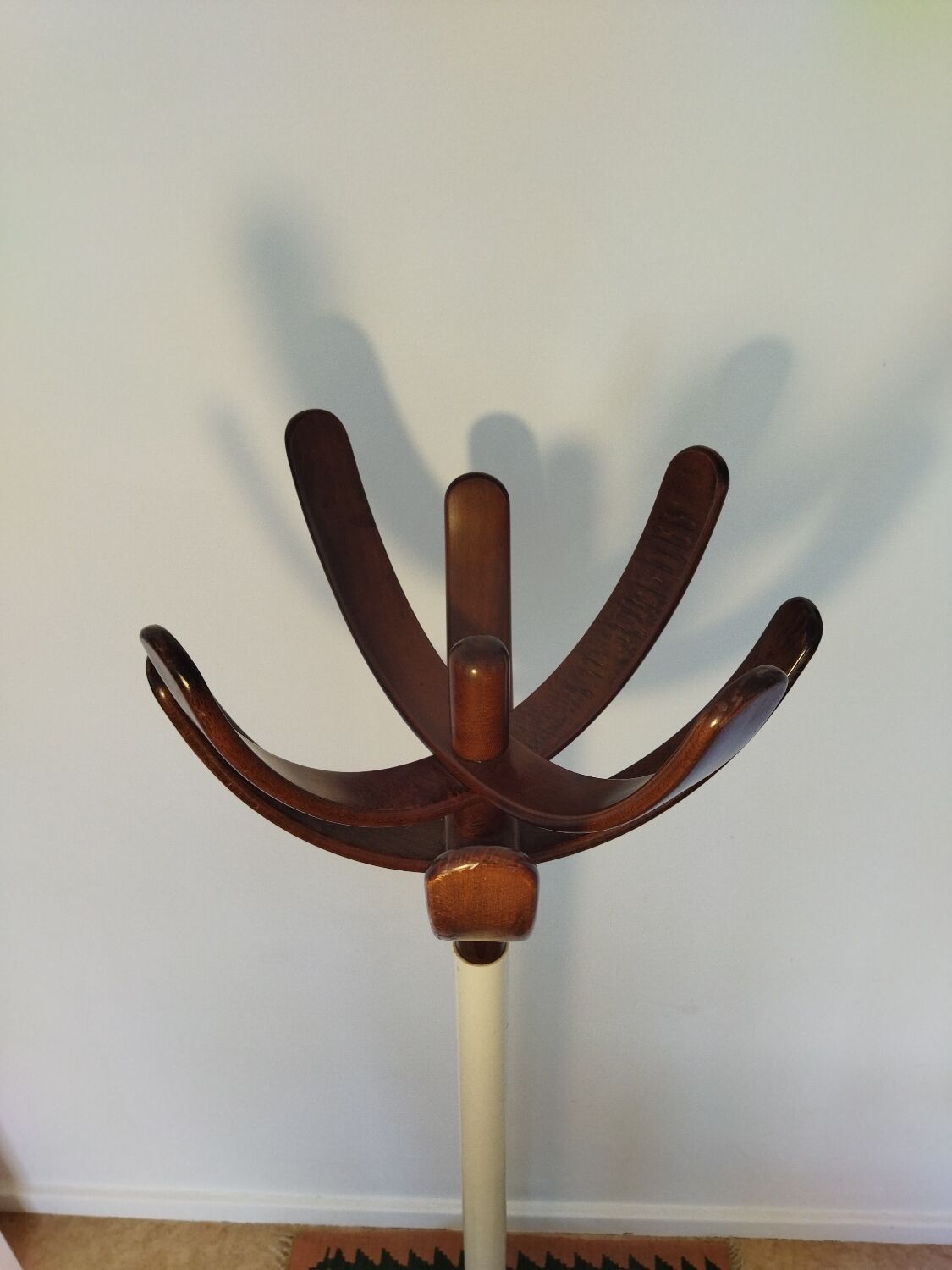 Cactus coat rack