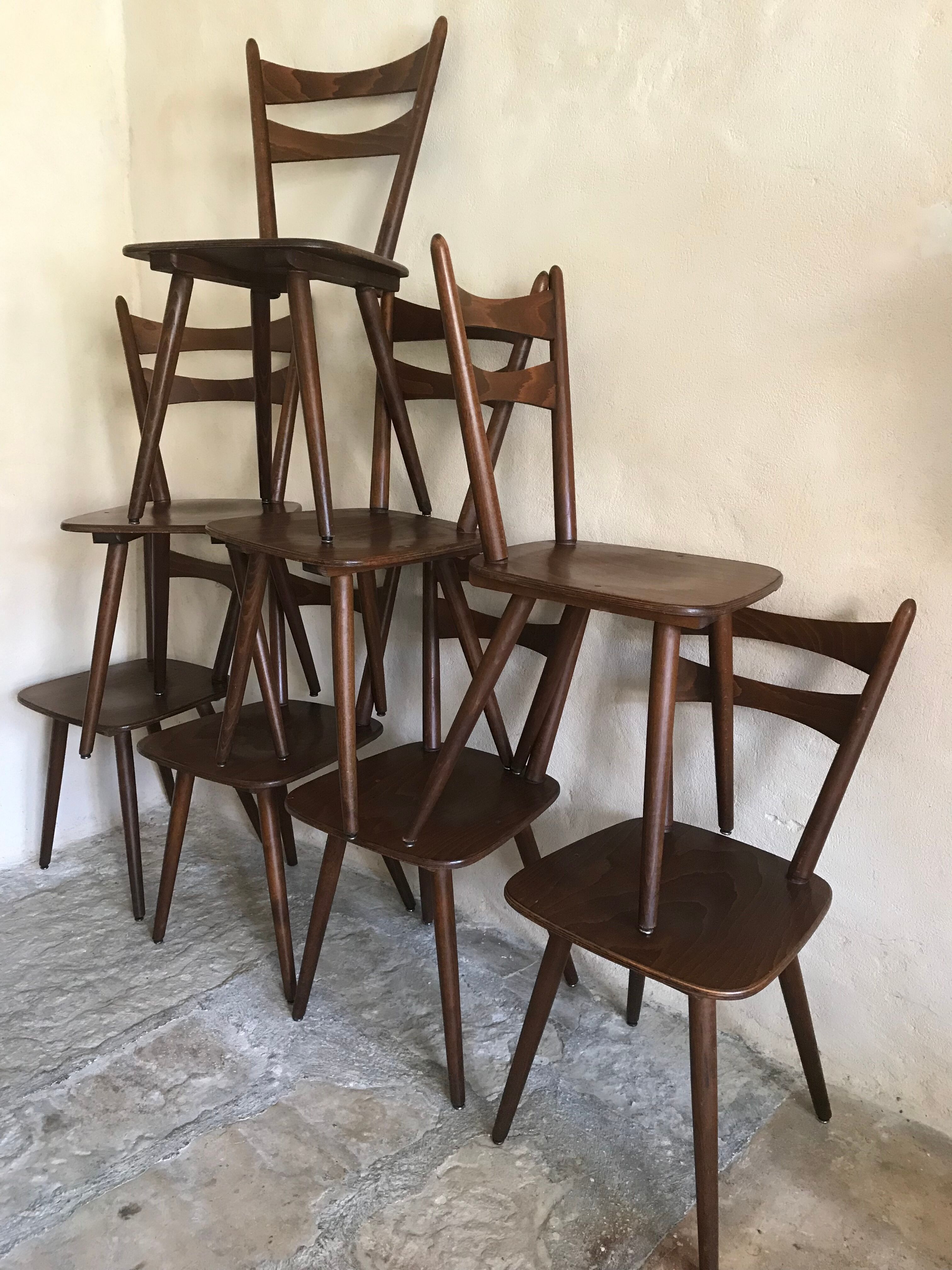 Set of 8 vintage chairs 1960 in beech compass feet