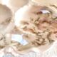 Sweet plate - porcelain XIX th - Havilland