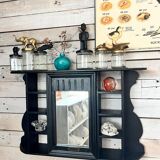 Curiosity cabinet