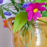 Glazed terracotta grease pot / jar