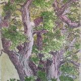 Enhanced etching - Christine Delessert - Lyonnaise school