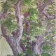Enhanced etching - Christine Delessert - Lyonnaise school