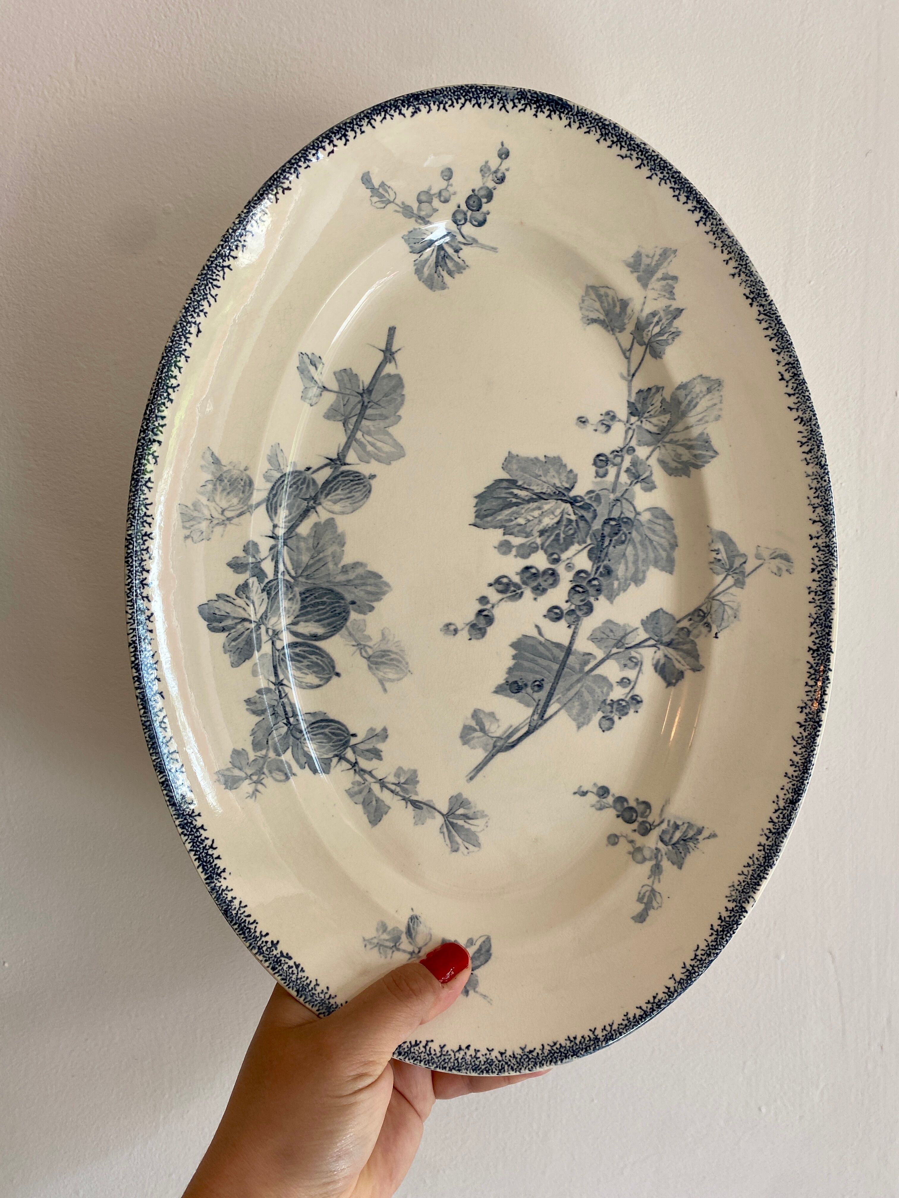 Old oval plate in iron earth model Groseilles de Sarreguemines
