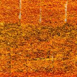 Handmade traditional carpet 250cm x 150cm Moroccan