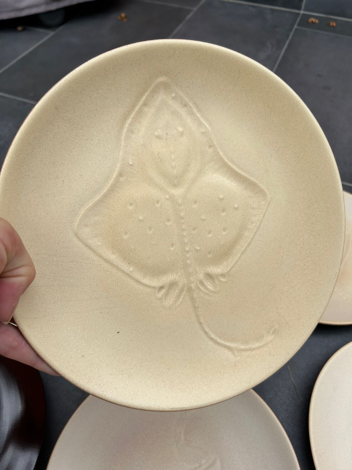 12 plates and stoneware saucière Fish