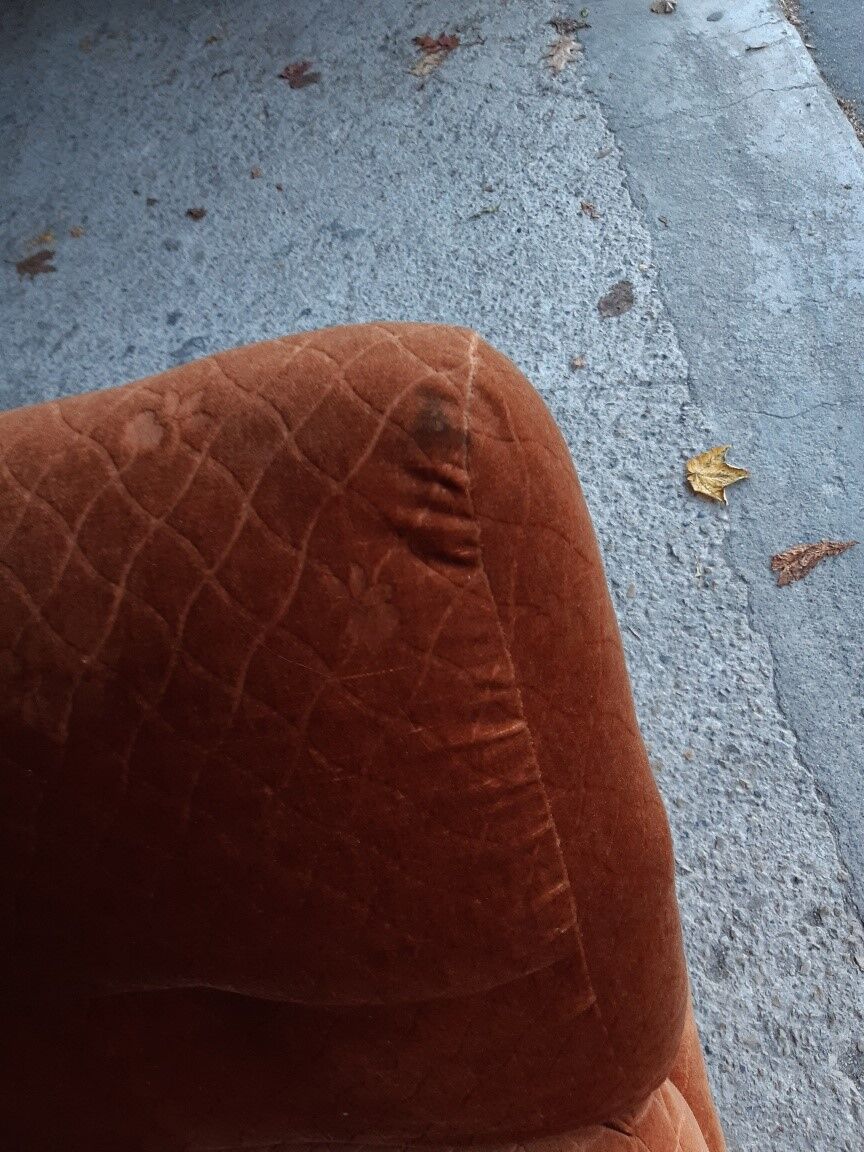 Albany armchair by Michel Ducaroy for Ligne Roset No. 3