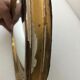 Old golden witch mirror - 26cm