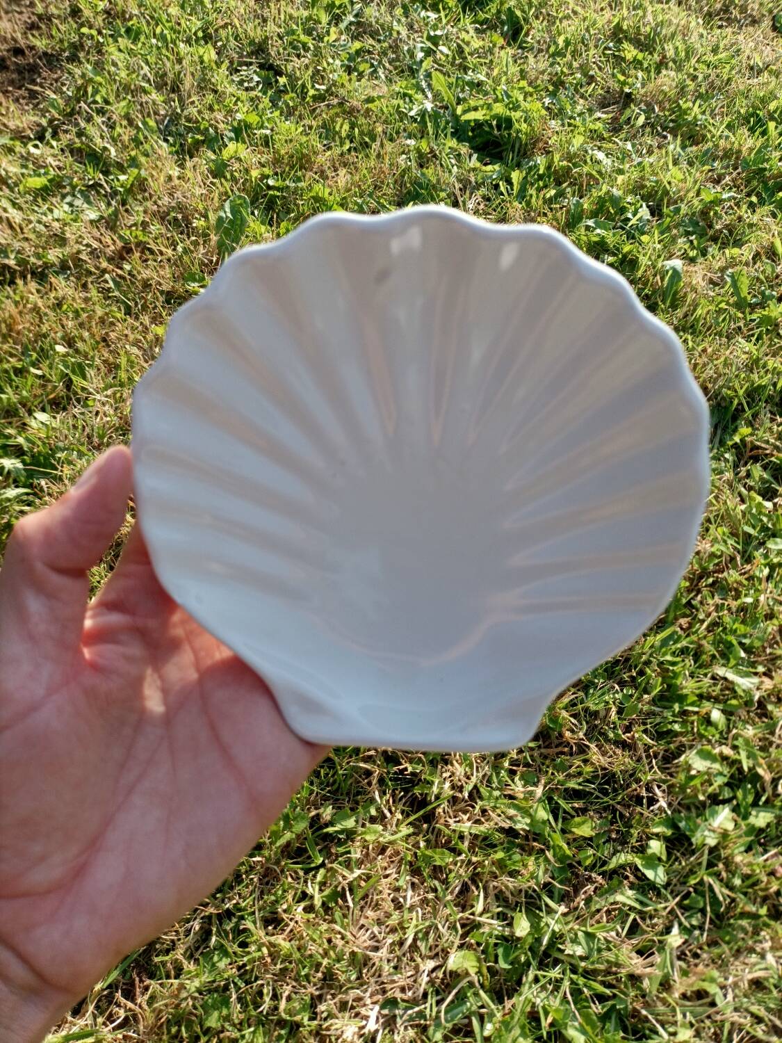 Scallop Shell Soap Dish