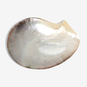 Vide poche en nacre, huître perlière polie, années 70