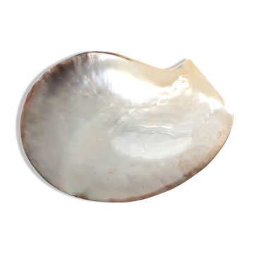Empty mother-of-pearl pocket, polished pearl oyster, 70s