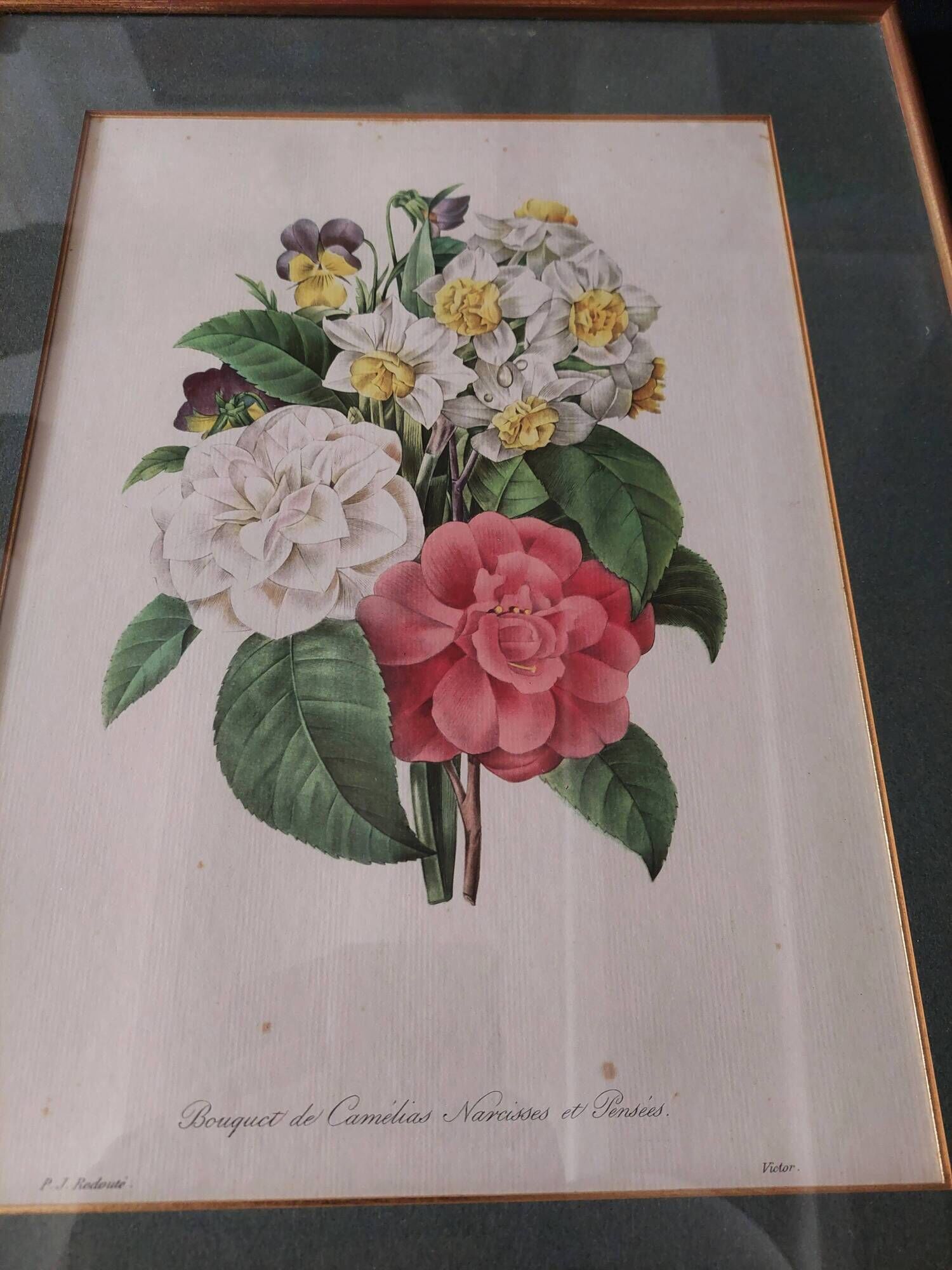 Engraving after Pierre Joseph Redouté engraved by Victor bouquet camellias