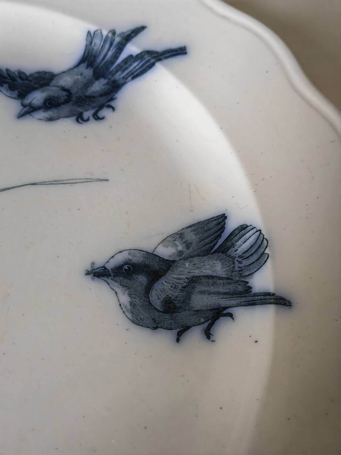 19th century dish bwm&co