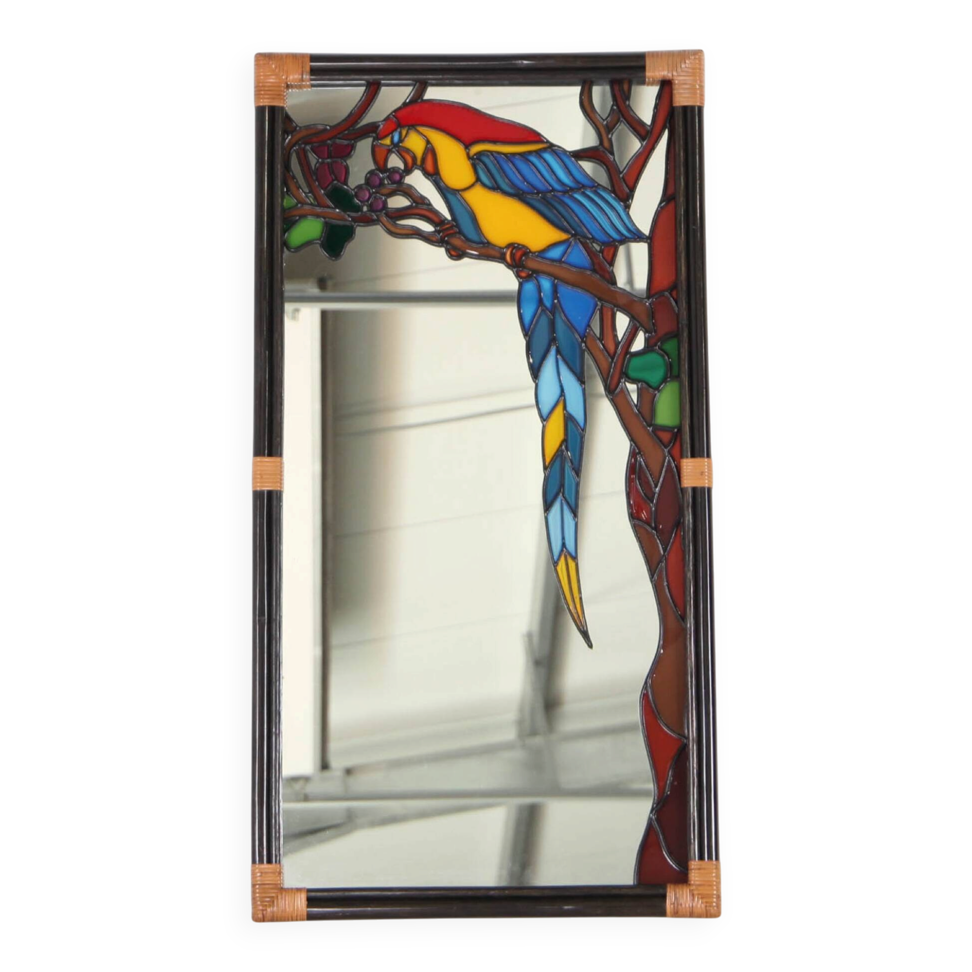 Parrot mirror