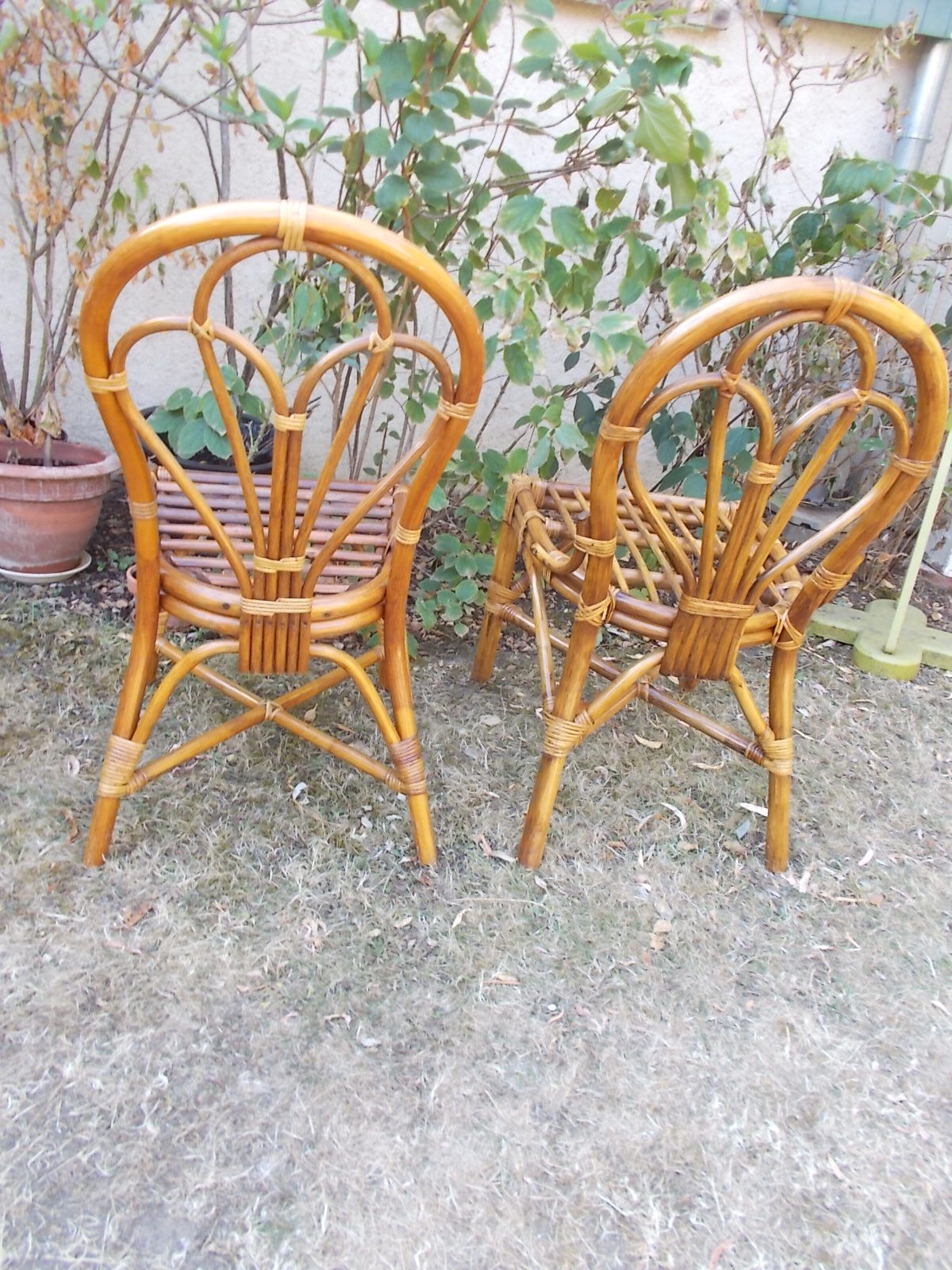 Rattan chairs