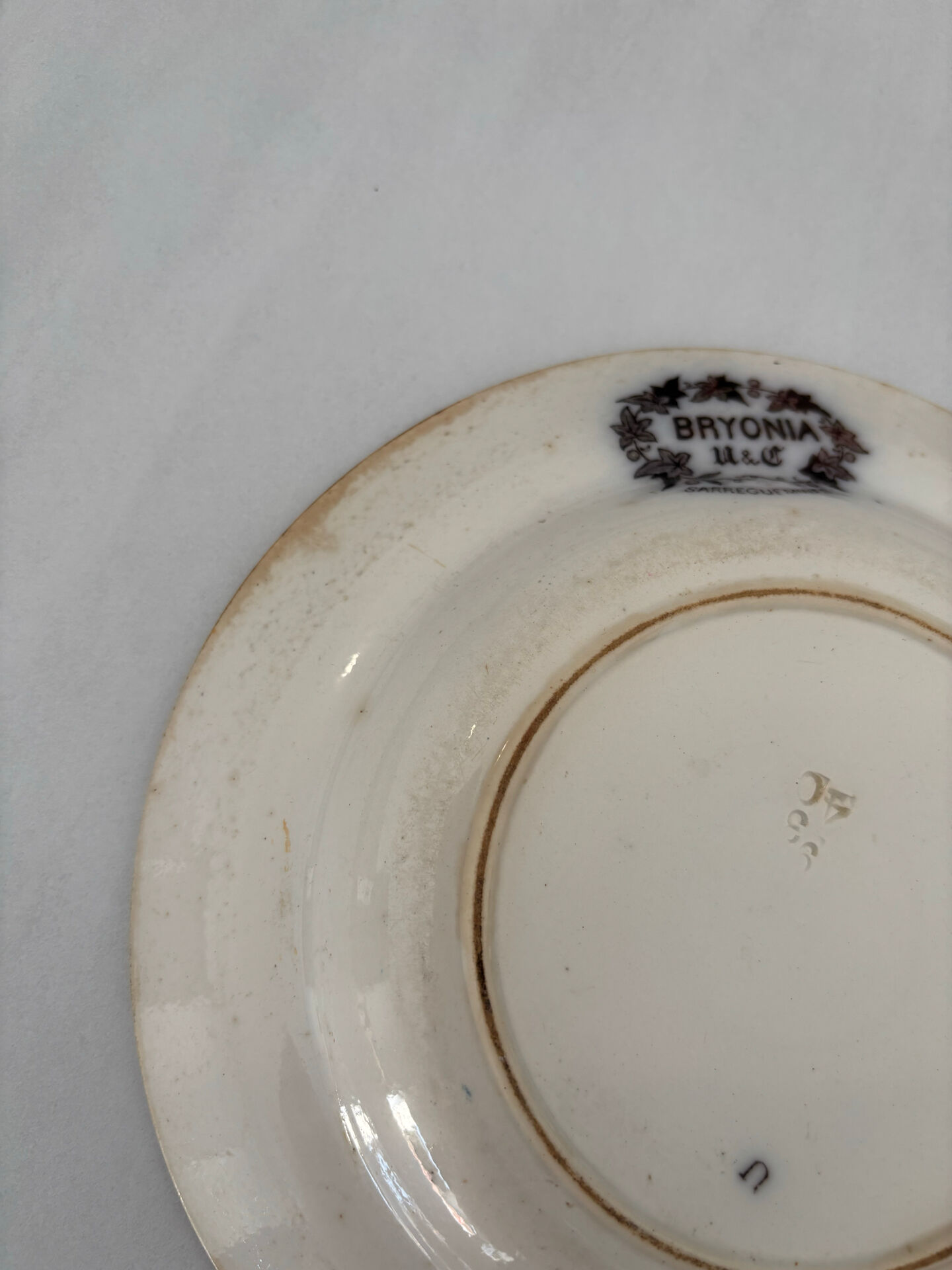 Iron earth plate sepia Sarreguemines model Bryonia - 19th-century earthenware