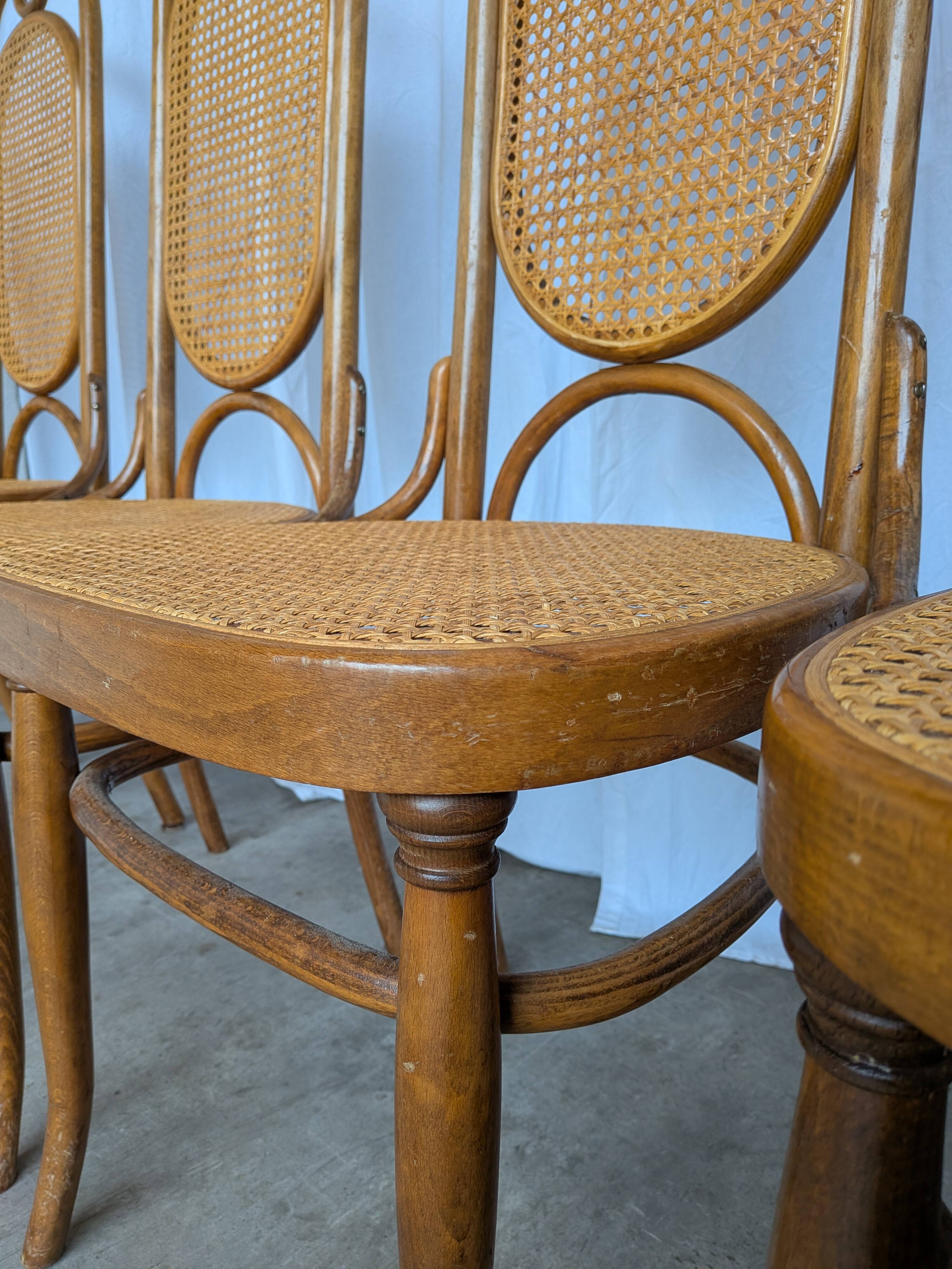 Set of 6 Vintage Bentwood Cane Dining Chair, Thonet Style, 1970s Yugoslavia
