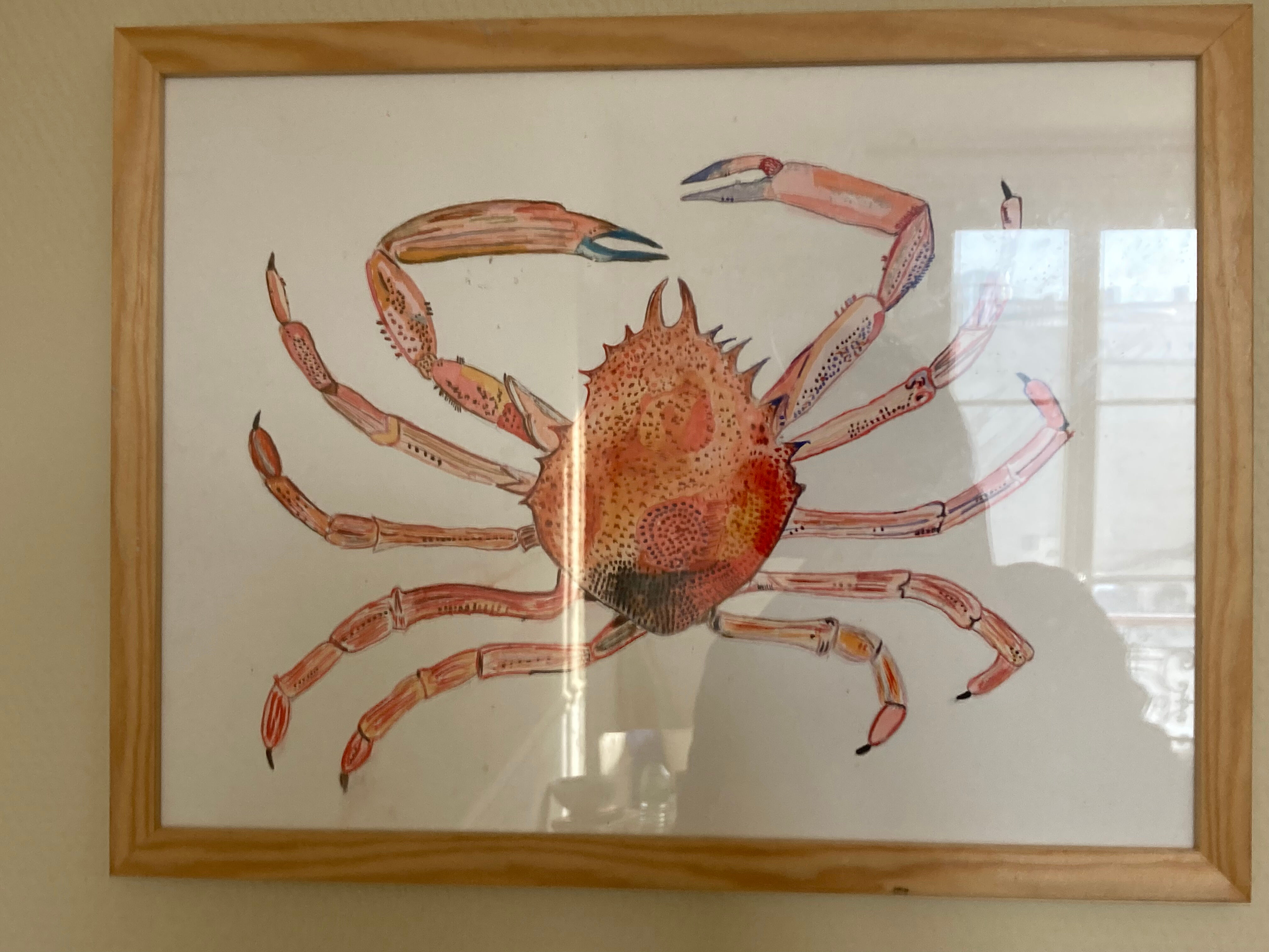 Sea spider