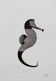 Press engraving duo black seahorse - embossing - format A5