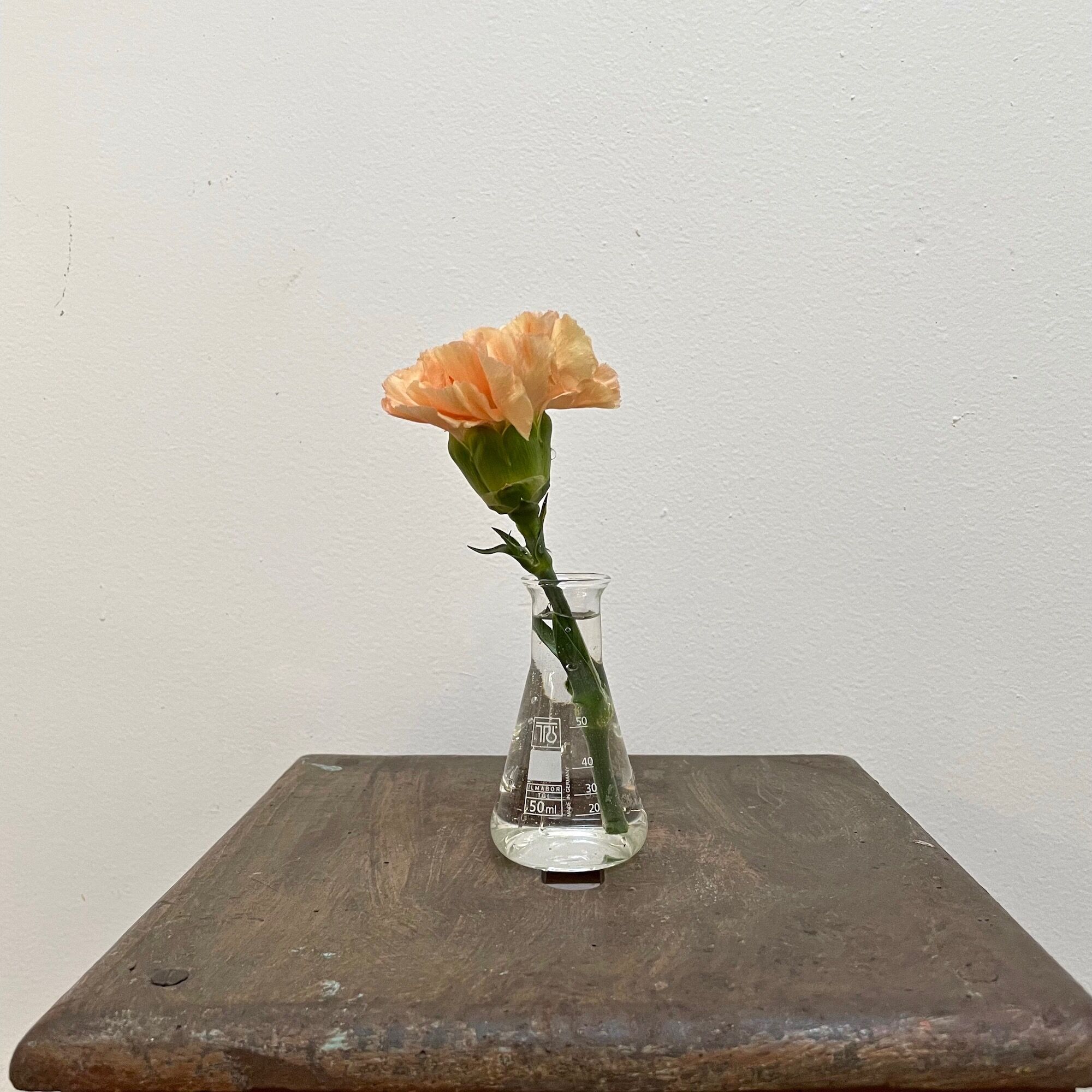 Carafe de Chimie 50ML Ilmabor TGI