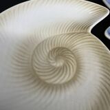 shell plates