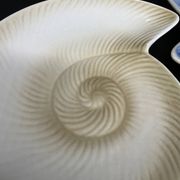 shell plates