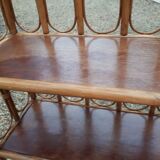 Canned bamboo library