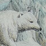 Planche zoologique originale " ours blanc & castor " - buffon 1840