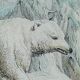Planche zoologique originale " ours blanc & castor " - buffon 1840