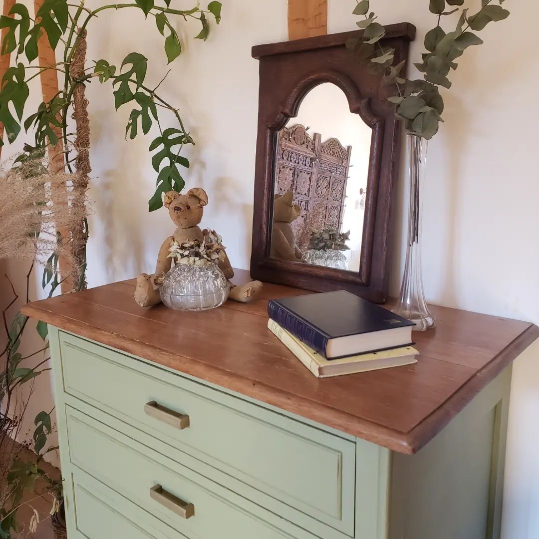Chest of drawers in linden green