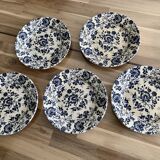 5 vintage plates with blue flowers