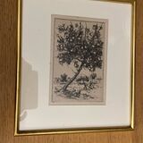 Dessin à l’encre  P.Baudier