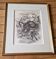 Original engraving / burin by JB Tavy Notton, "The blue tit", circa 1970