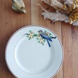 Longwy flat plate, Bird