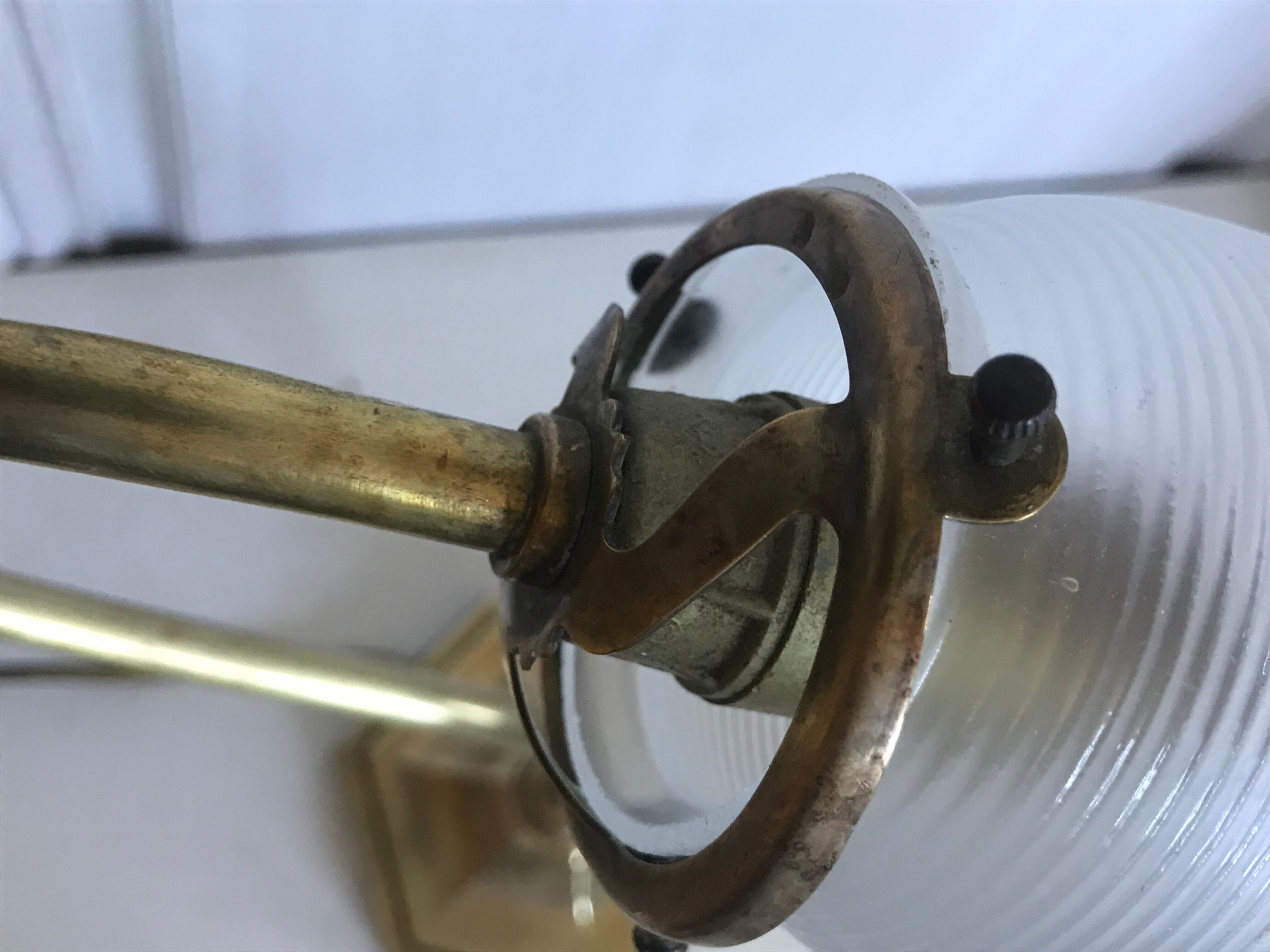 Brass gooseneck lamp