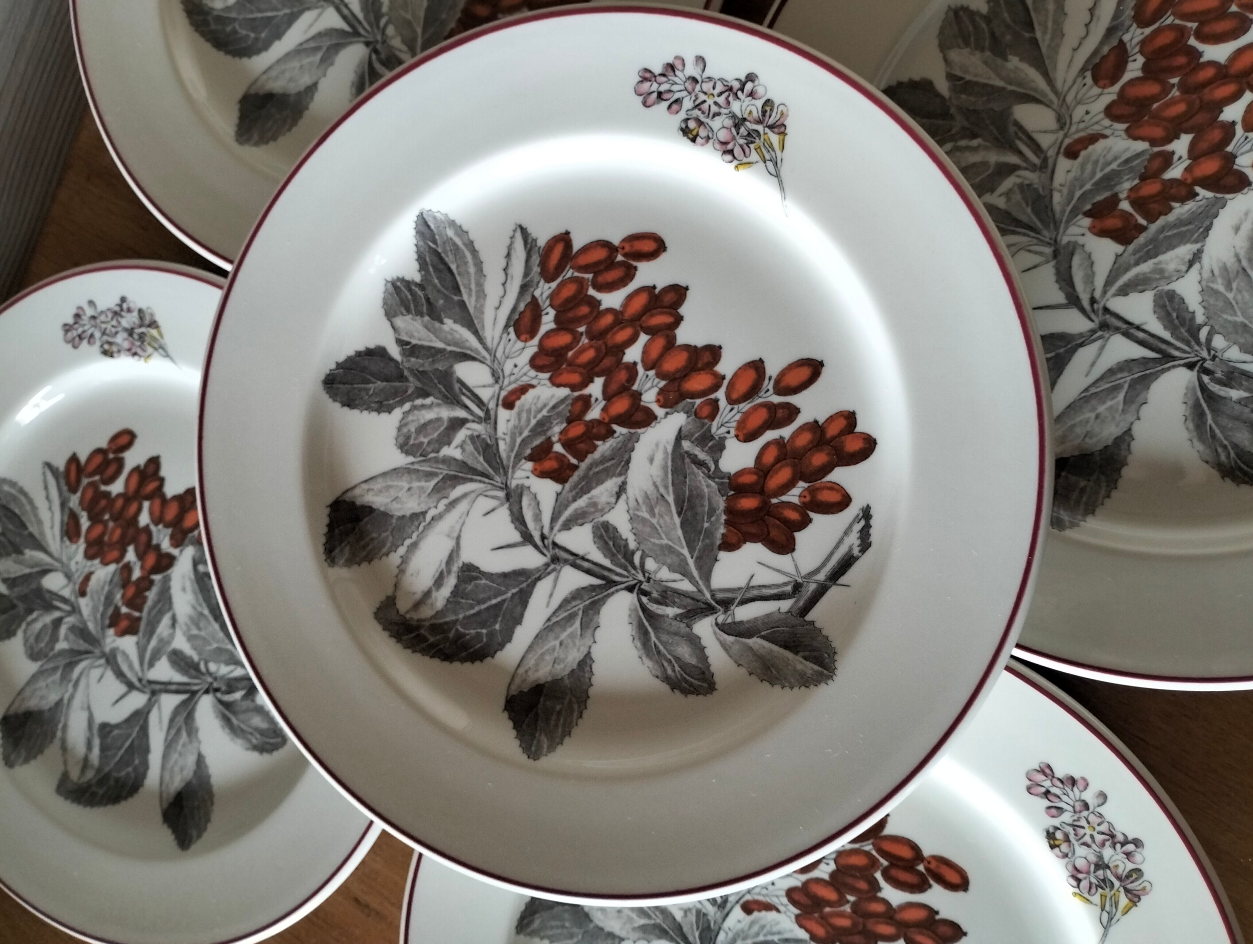 Villeroy & Boch plates
