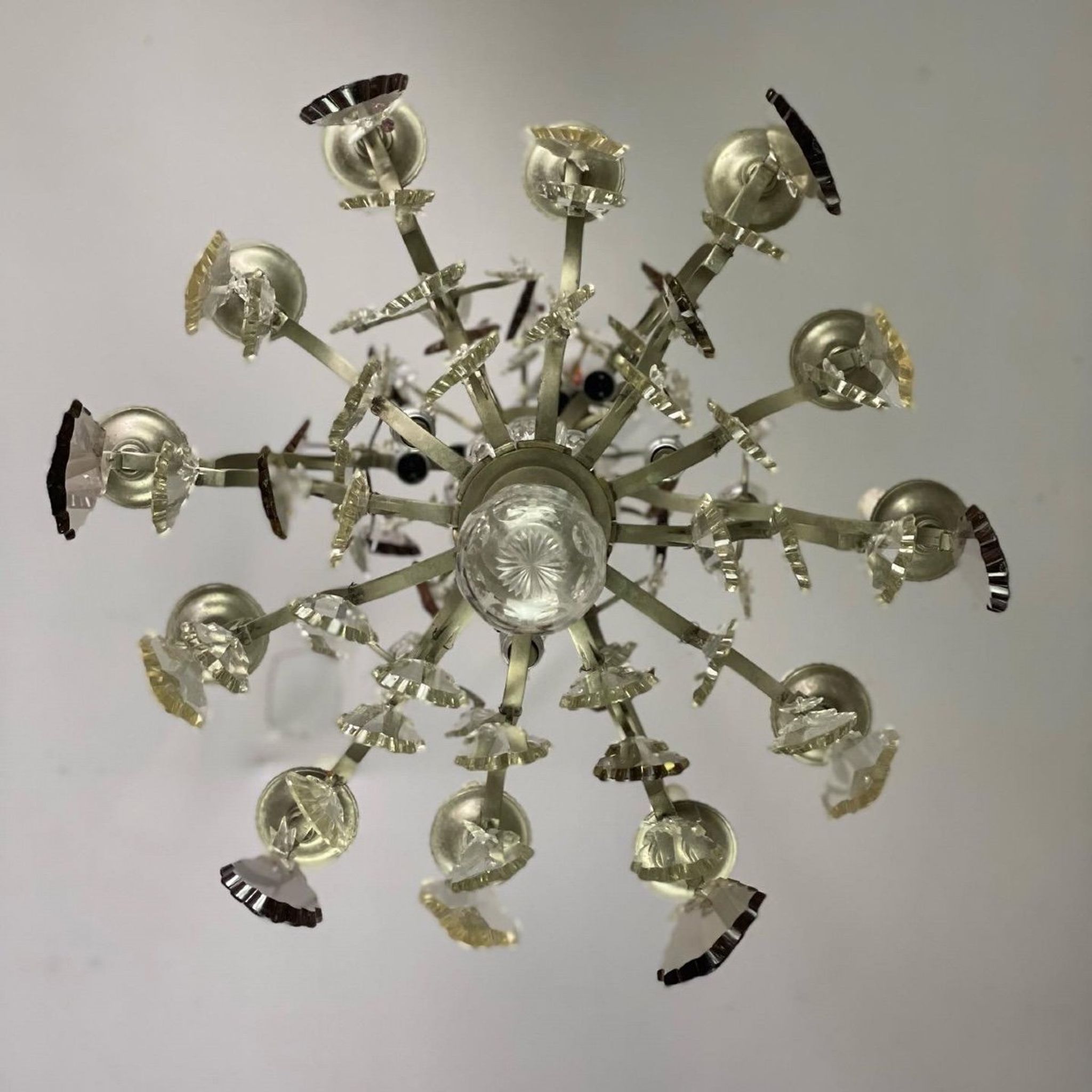 Silver bronze cage chandelier with crystal grapevines circa 1900