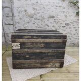 Large old trunk