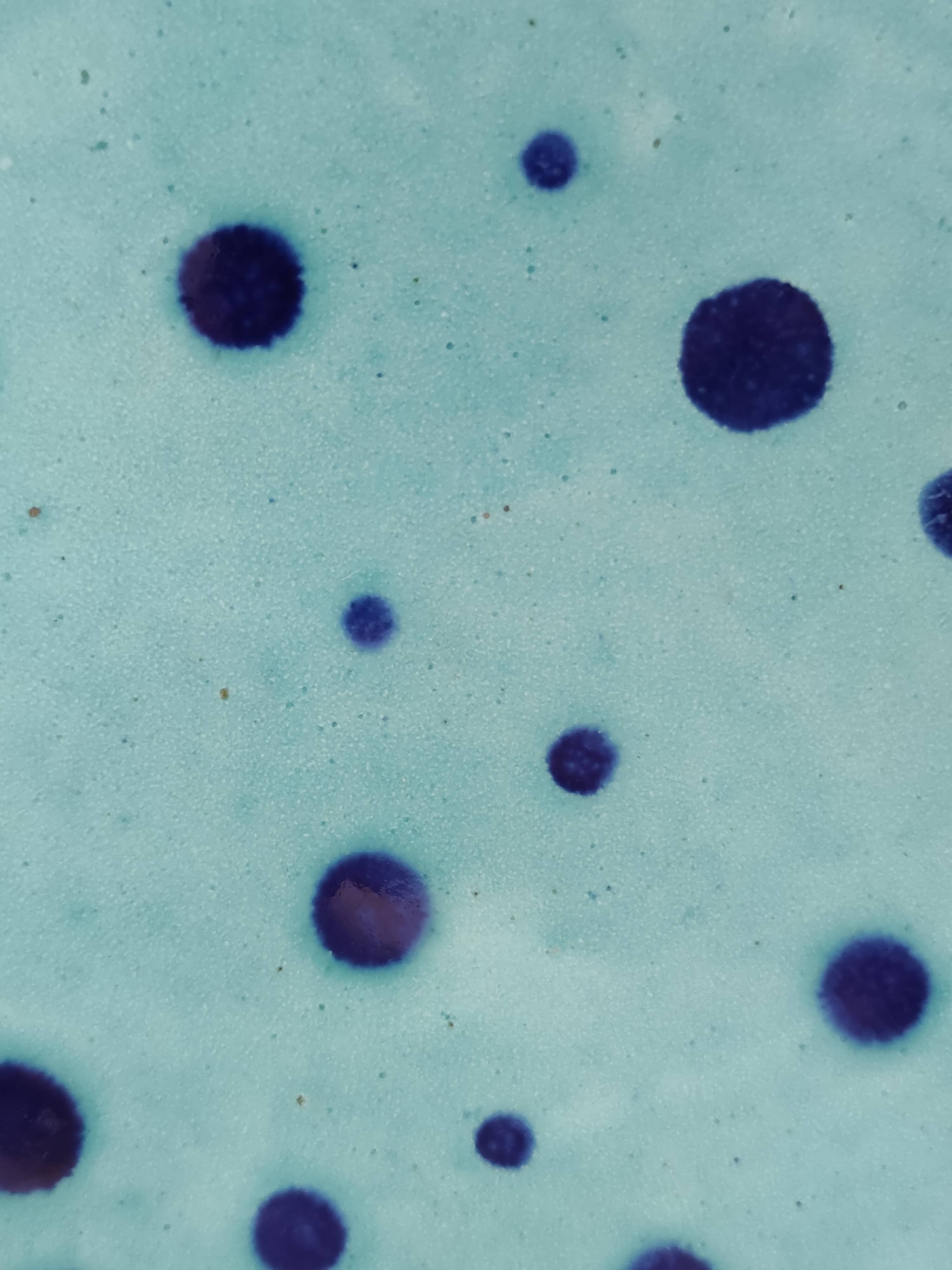 Set of Four Turquoise Earthenware Vide-Poche / Decorative Plates by Albisol