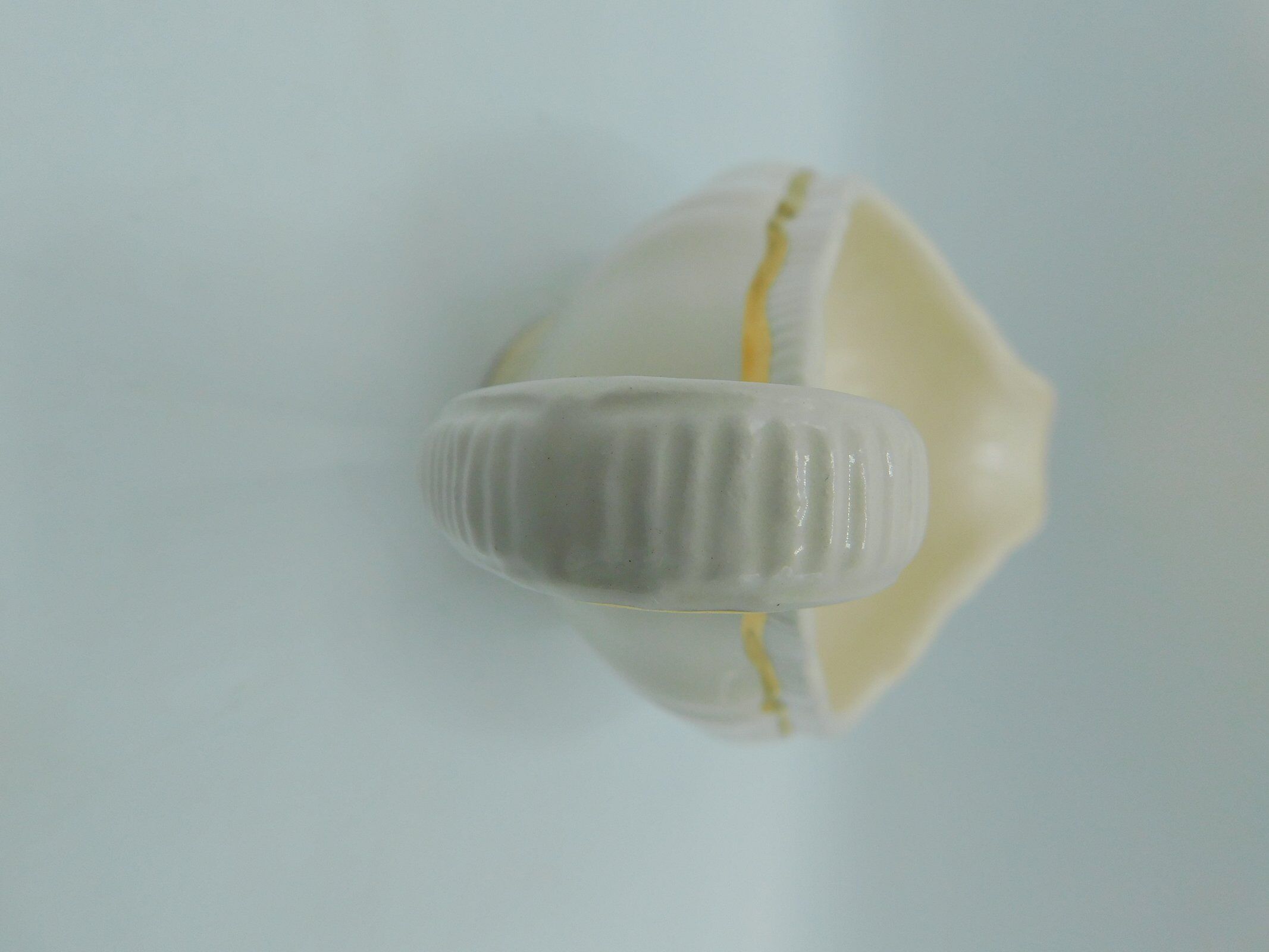 Longchamp ivory and gold saucière