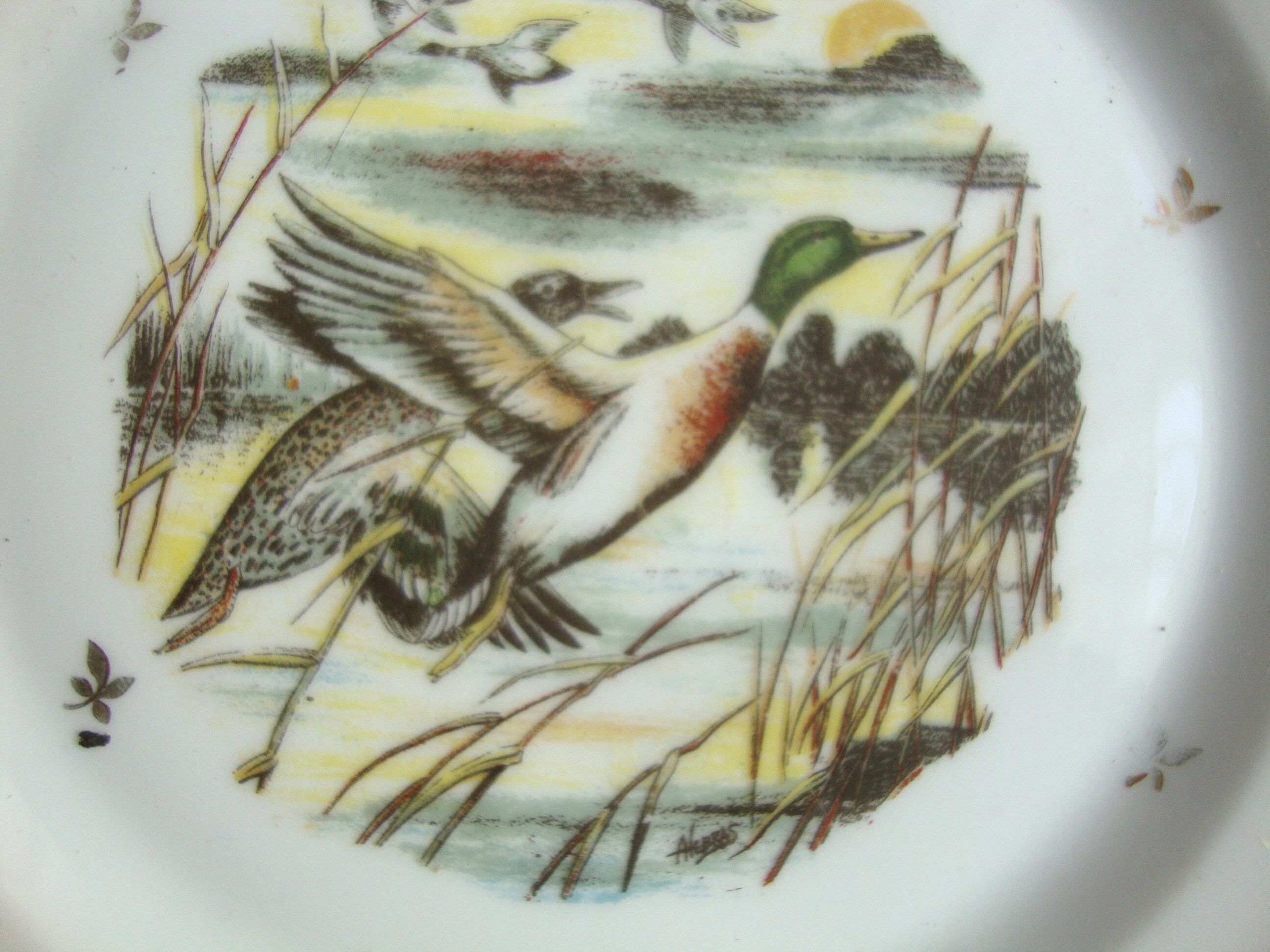 6 Limoges porcelain plates