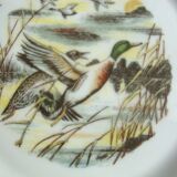 6 Limoges porcelain plates