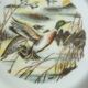 6 Limoges porcelain plates